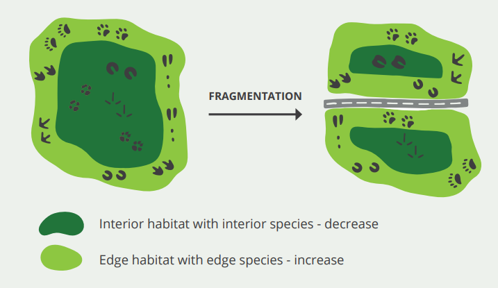 Green Infrastructure – Training Manual for Trainers