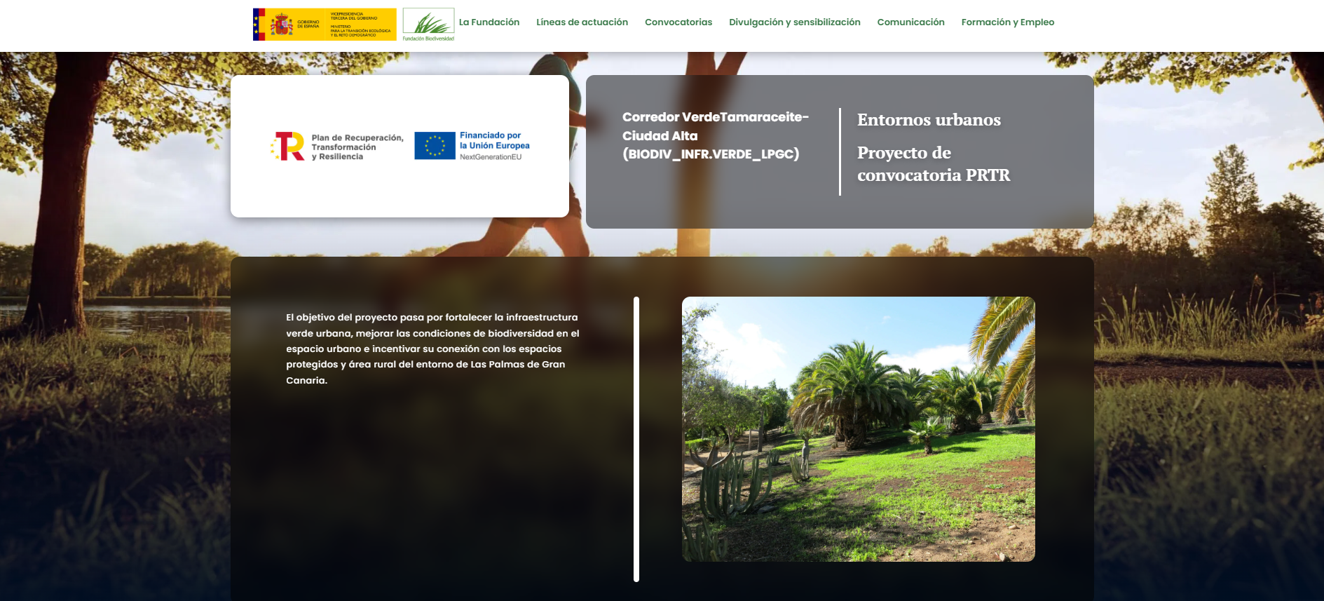 Corredor VerdeTamaraceite-Ciudad Alta (BIODIV_INFR.VERDE_LPGC)