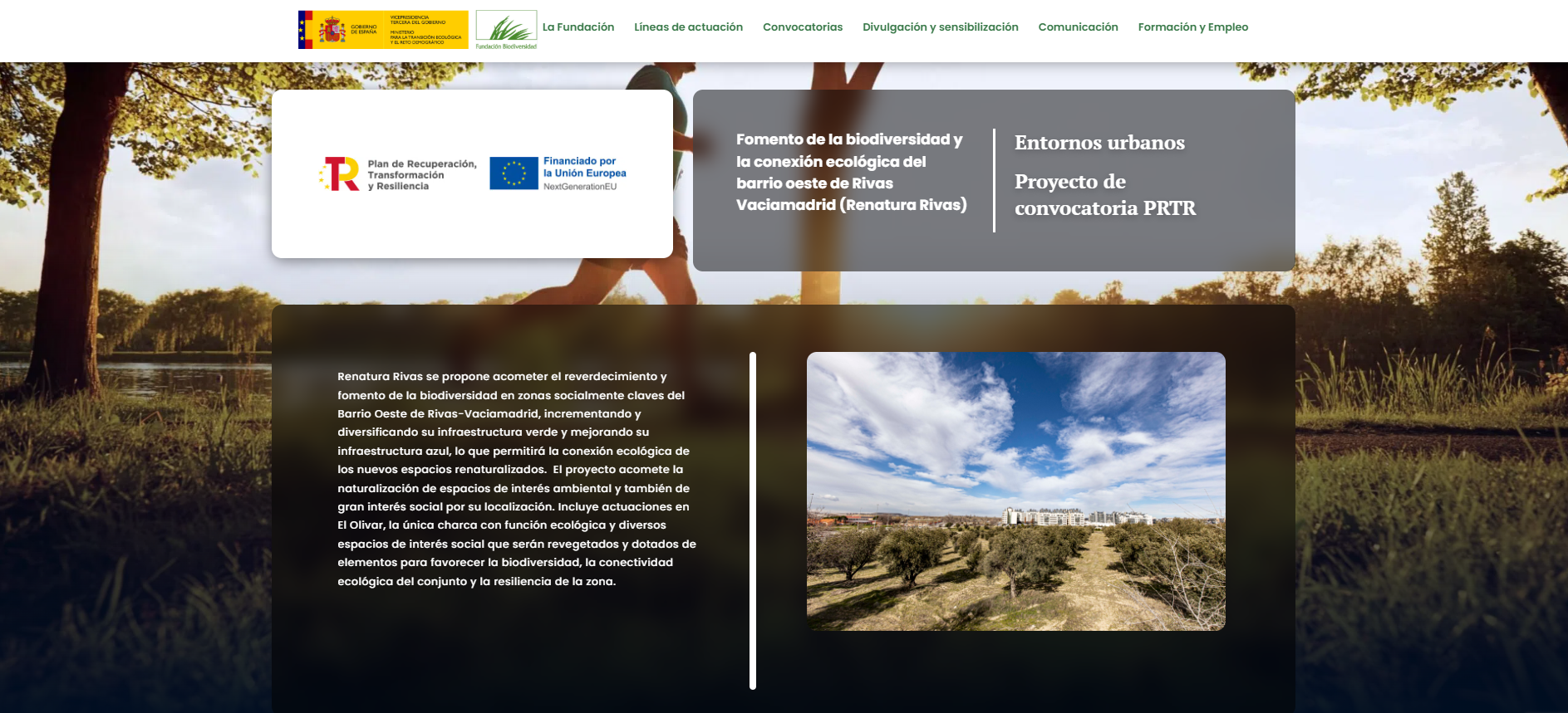 Fomento de la biodiversidad y la conexión ecológica del barrio oeste de Rivas Vaciamadrid (Renatura Rivas)