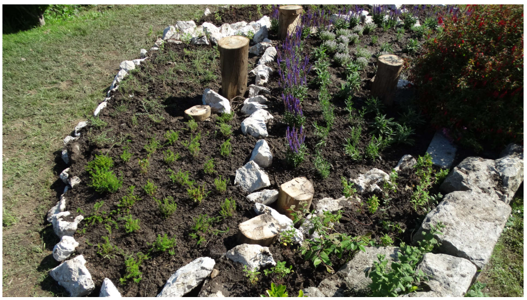 Actuaciones de conservación e incremento de la biodiversidad en zonas verdes