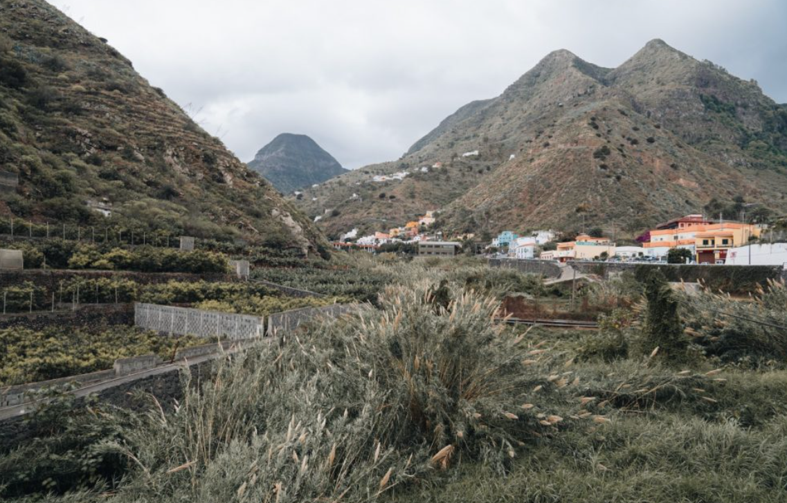 El Cabildo aprueba el proyecto para la restauración en barrancos de La Gomera