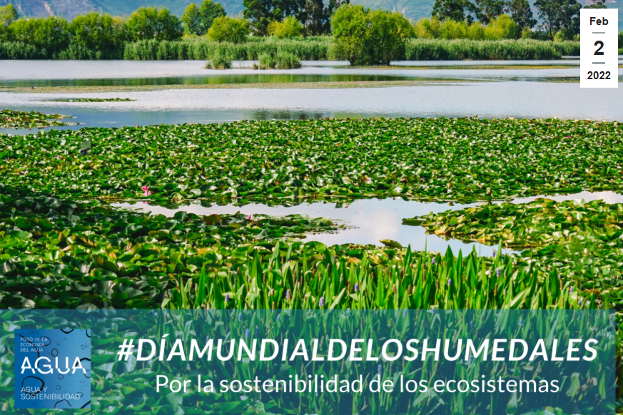 Soluciones basadas en la naturaleza: creación y conservación de humedales, en favor de la resiliencia y la adaptación al cambio climático