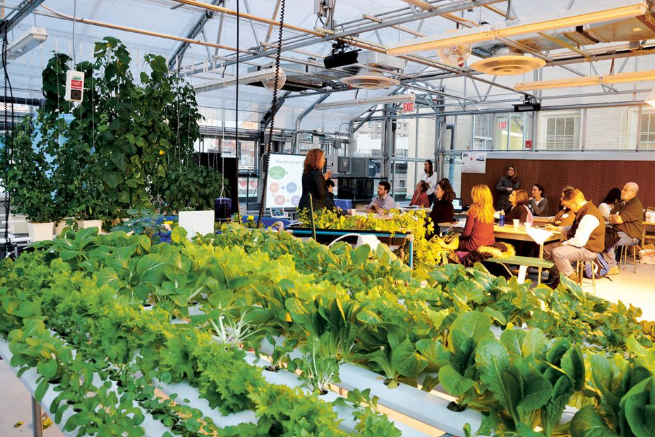 Sun Works Center, New York