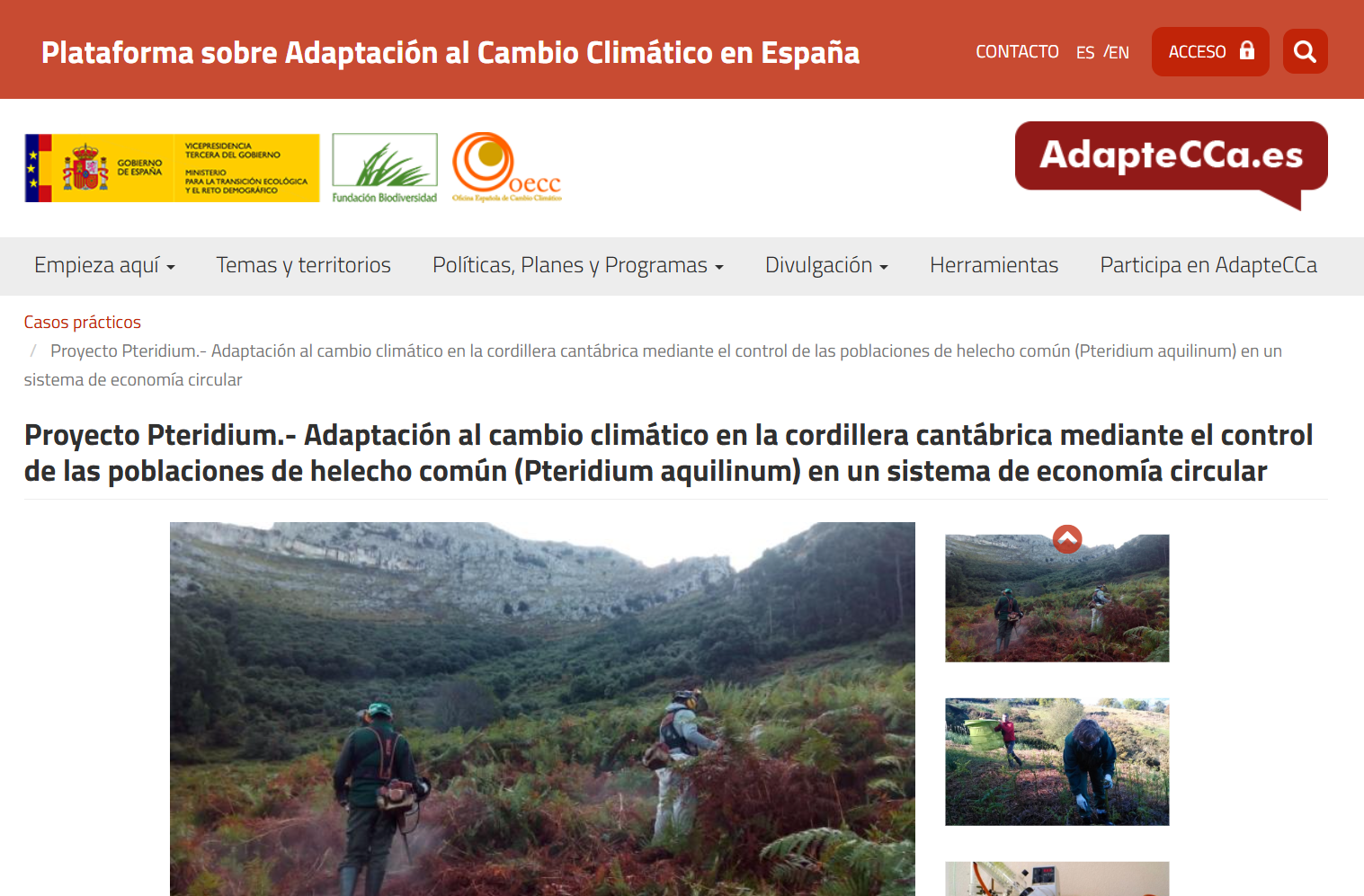 Proyecto Pteridium.- Adaptación al cambio climático en la cordillera cantábrica mediante el control de las poblaciones de helecho común (Pteridium aquilinum) en un sistema de economía circular
