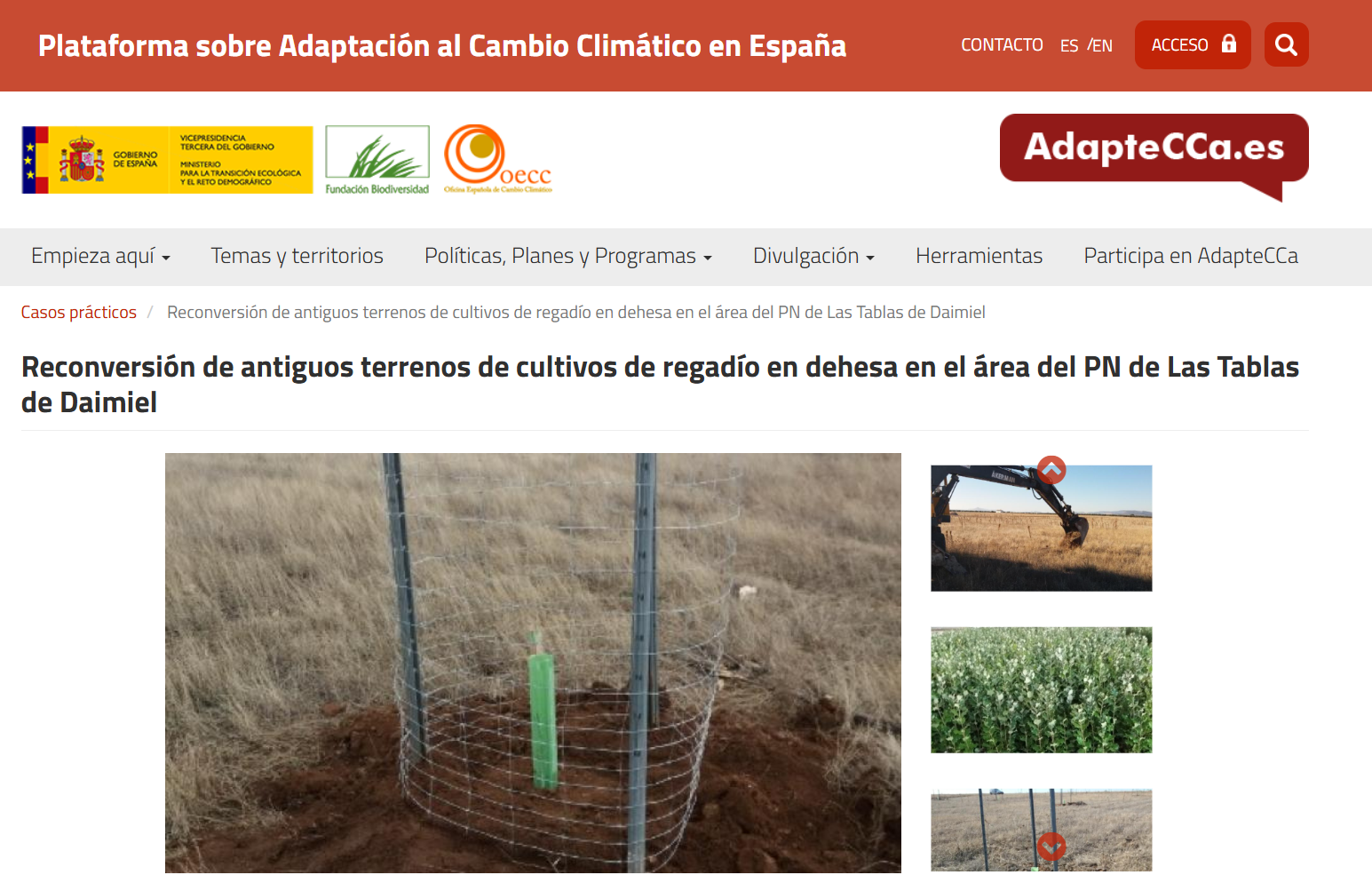 Reconversión de antiguos terrenos de cultivos de regadío en dehesa en el área del PN de Las Tablas de Daimiel