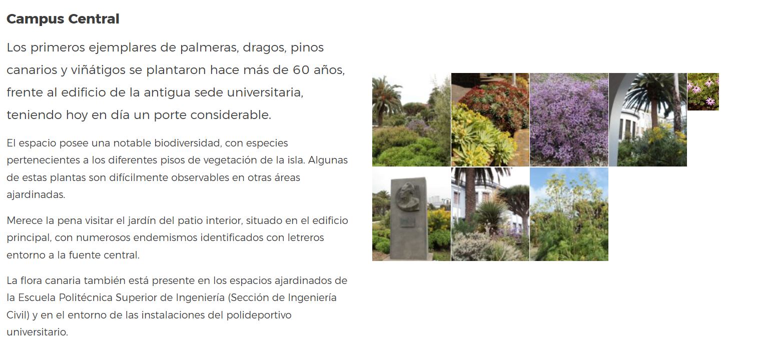 Jardín Experimental con plantas autóctonas de Tenerife