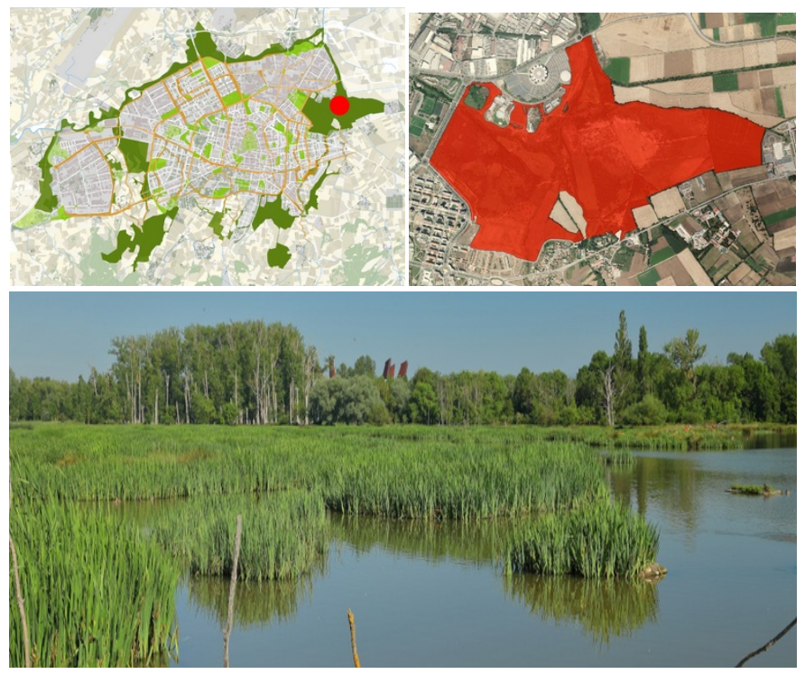 Catalogación de las NBS implementadas y previstas en Vitoria‑Gasteiz