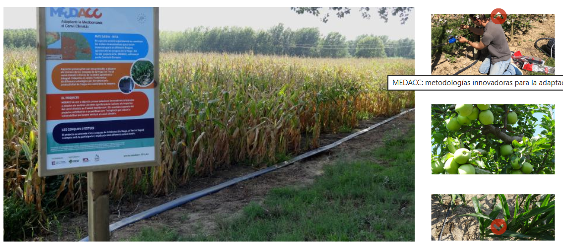 MEDACC: metodologías innovadoras para la adaptación al cambio climático en el área mediterránea