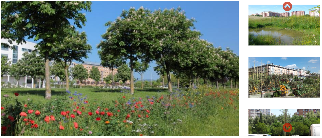 La infraestructuras Urbana barrio a barrio en Vitoria-Gasteiz: proyecto de naturalización de espacios verdes y parcelas vacantes en el barrio de Lakua