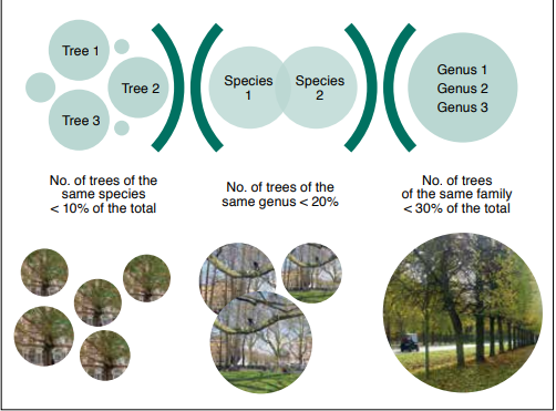 Bosques y ciudad verdes