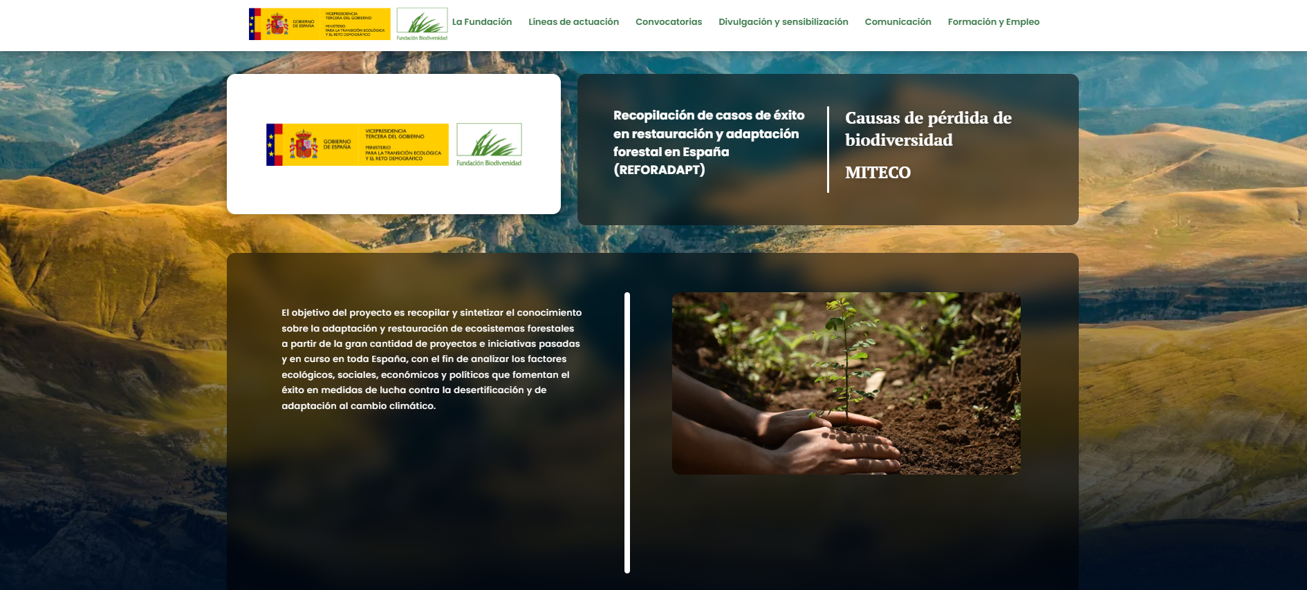 Recopilación de casos de éxito en restauración y adaptación forestal en España (REFORADAPT)